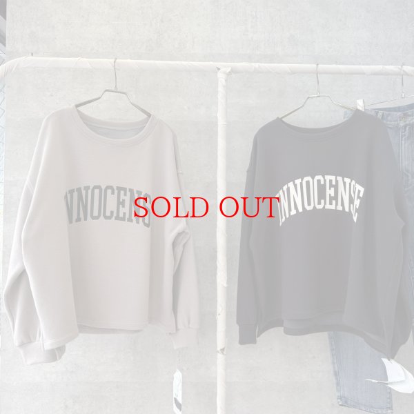 画像1: ●生産枠限り●期間限定掲載●【11/18 LIVEご紹介アイテム】裏毛布前後ロゴスエット（予約/1） (1)