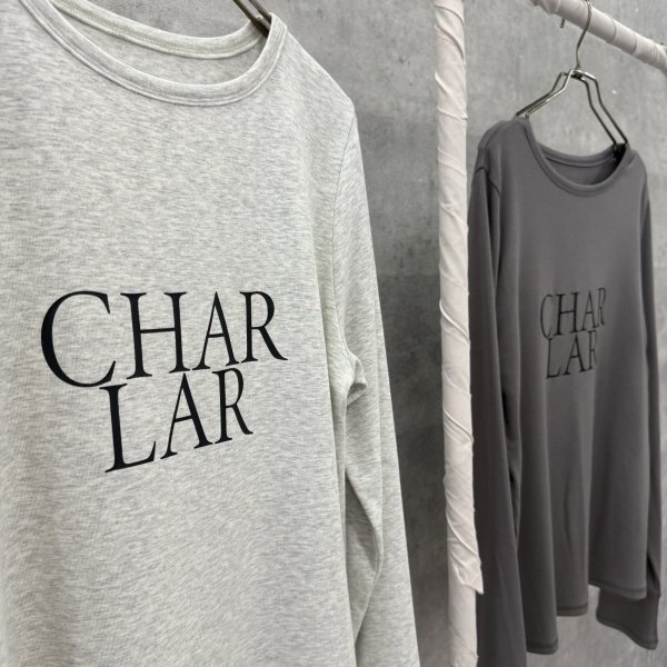 画像2: ●生産枠限り●期間限定掲載●【9/29 LIVEご紹介アイテム】あの!!過去一ロンTがロゴバージョンに!!過去一ロゴロンT（予約/11-12） (2)