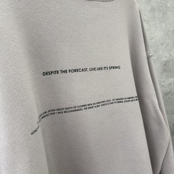 画像6: ●生産枠限り●期間限定掲載●【9/29 LIVEご紹介アイテム】裏毛布前後ロゴスエット（予約/11） (6)