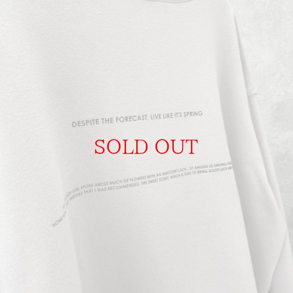 画像6: ●生産枠限り●期間限定掲載●【11/18 LIVEご紹介アイテム】裏毛布前後ロゴスエット（予約/1） (6)