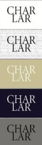 画像4: ●生産枠限り●期間限定掲載●【9/29 LIVEご紹介アイテム】あの!!過去一ロンTがロゴバージョンに!!過去一ロゴロンT（予約/11-12） (4)