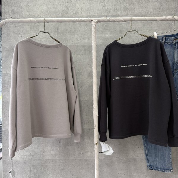 画像5: ●生産枠限り●期間限定掲載●【9/29 LIVEご紹介アイテム】裏毛布前後ロゴスエット（予約/11） (5)