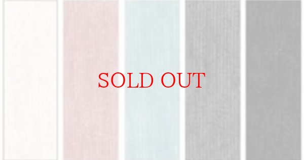 画像4: ●生産枠限り●期間限定掲載●【9/29 LIVEご紹介アイテム】ウエストコードで調整可能◎ベロアタッチスカート（予約/11） (4)