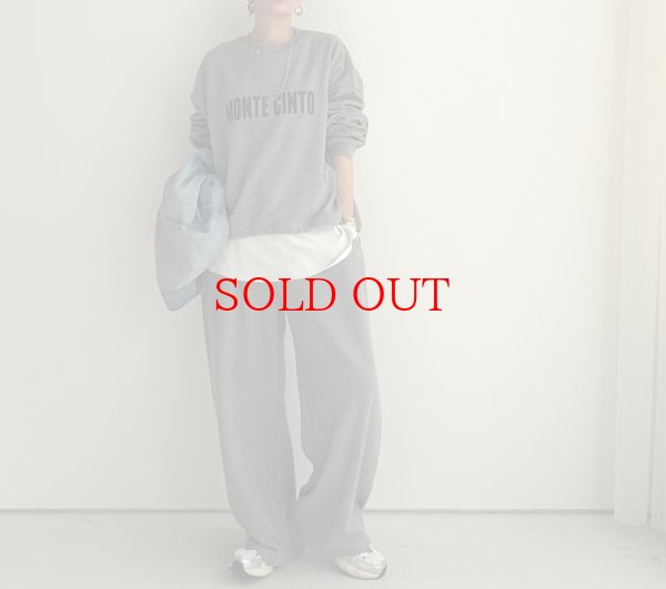 画像3: ●数量限定●裏毛布シリーズ●【11/11 LIVEアイテム】裏毛布ロゴスエット (3)