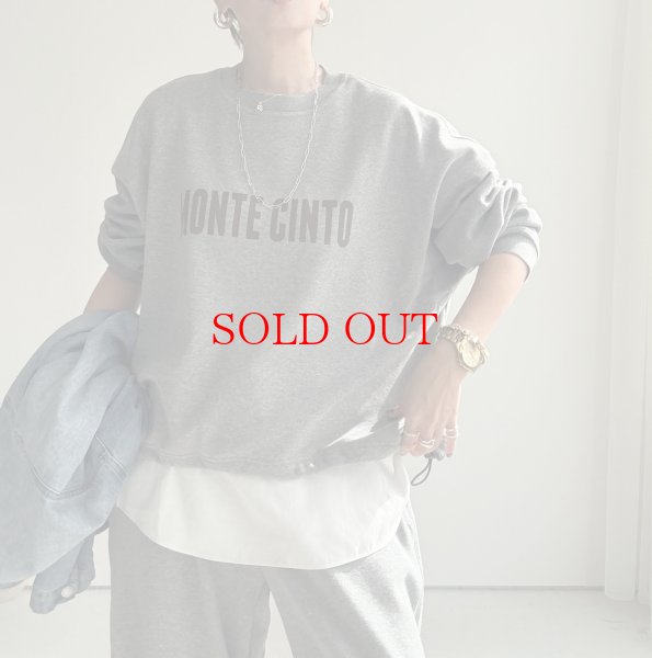 画像1: ●数量限定●裏毛布シリーズ●【11/11 LIVEアイテム】裏毛布ロゴスエット (1)