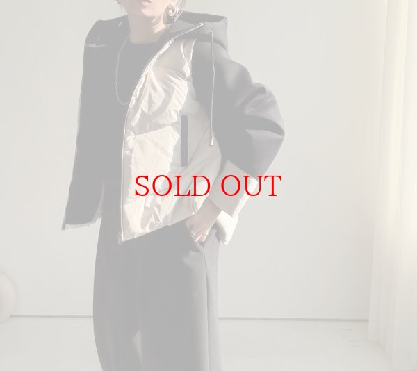 画像8: ●期間限定掲載●【 11/14LIVEご紹介アイテム】異素材ドッキングボンディングダウンジャケット（メーカー確認後お取り寄せ） (8)