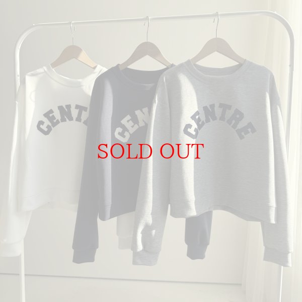 画像3: ●期間限定●【11/24 LIVEアイテム】インしないで良い丈！フロッキーロゴトップス（メーカー確認後取り寄せ） (3)