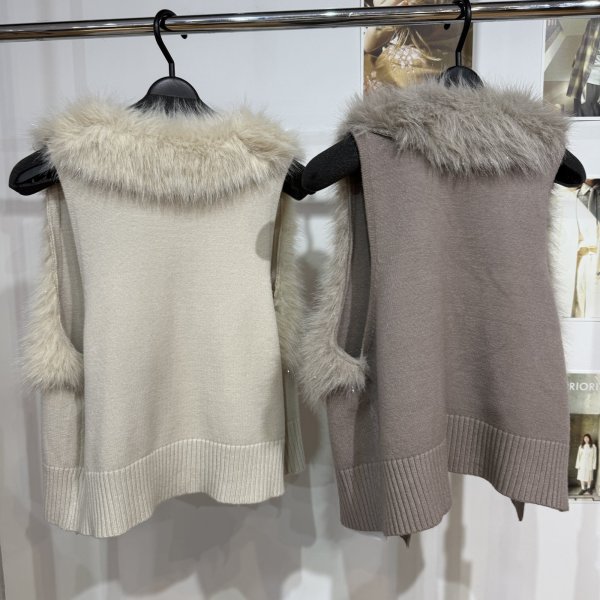 画像2: ●メーカー在庫限り●30日まで●【11/28 LIVEアイテム】クリアラメニットファーベスト (2)