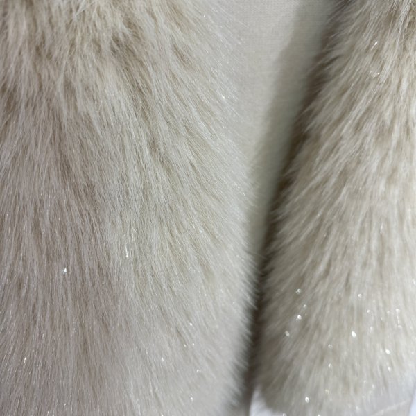 画像4: ●メーカー在庫限り●30日まで●【11/28 LIVEアイテム】クリアラメニットファーベスト (4)