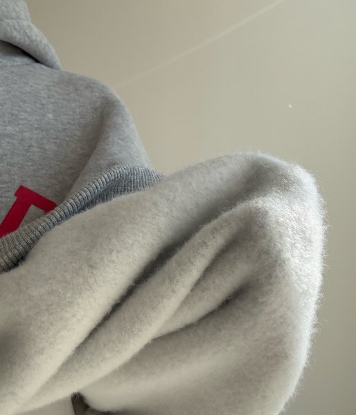 画像6: ●期間限定●ご予約5倍ポイント対象●【12/6 LIVEアイテム】CASCADE配色ステッチ裏起毛パーカー（予約/1） (6)