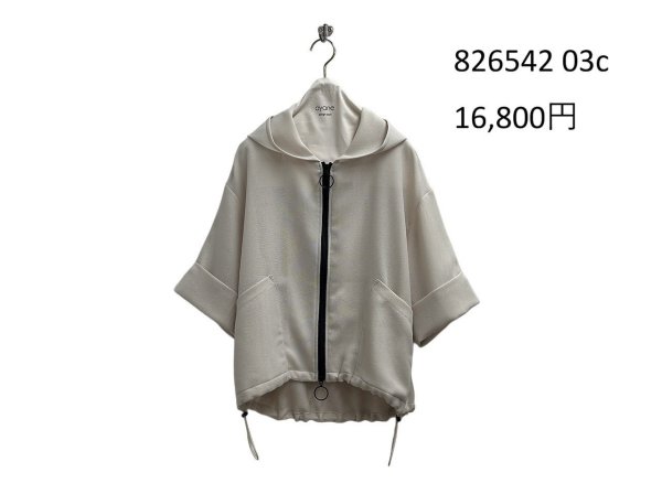 画像8: ●期間限定/ご予約10倍ポイント●【1/19 ayane】メッシュフーディブルゾン（予約/4-5） (8)