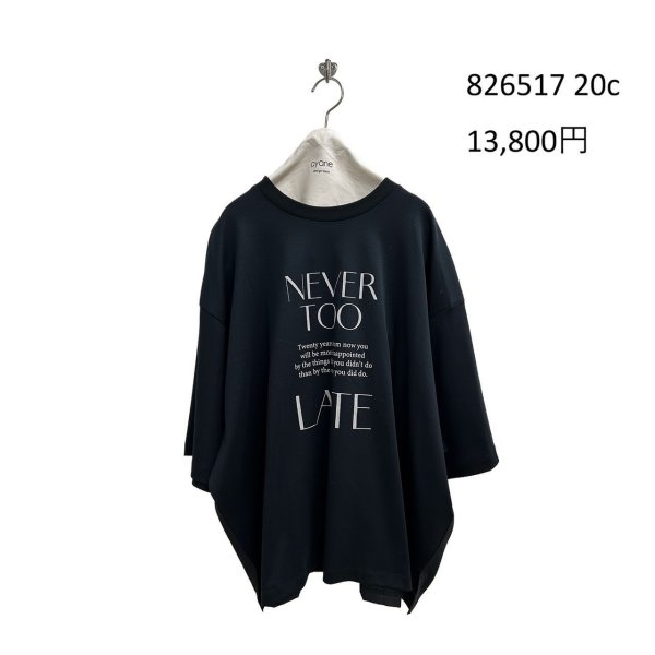 画像8: ●期間限定/ご予約10倍ポイント●【1/19 ayane】ドッキングバックギャザーTシャツ（予約/4-5） (8)