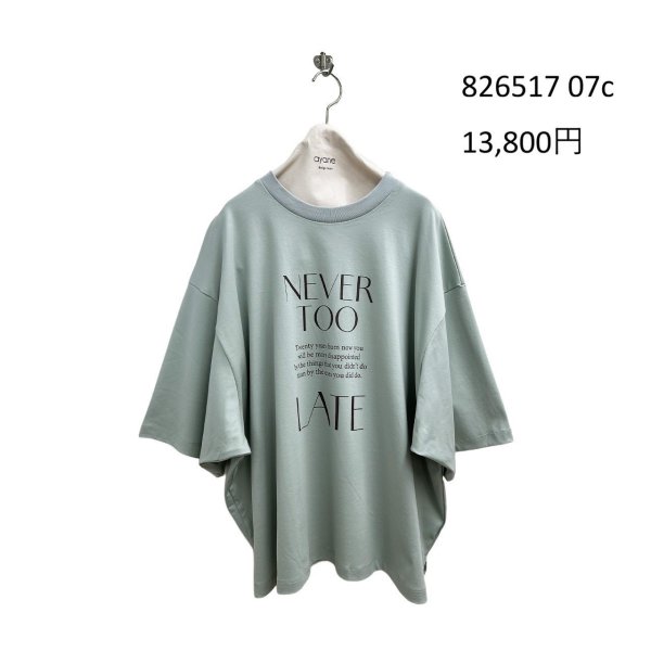 画像4: ●期間限定/ご予約10倍ポイント●【1/19 ayane】ドッキングバックギャザーTシャツ（予約/4-5） (4)