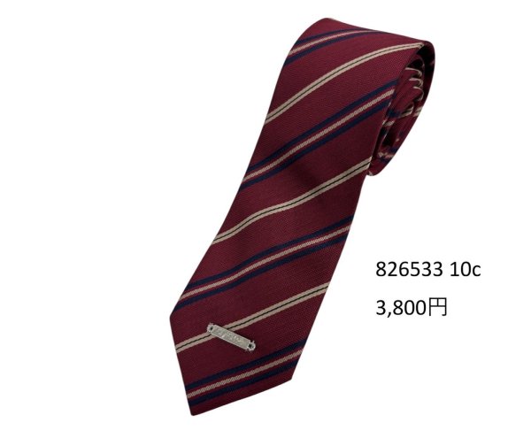 画像4: ●期間限定/ご予約5倍ポイント●【1/19 ayane】ネクタイ（予約/4） (4)