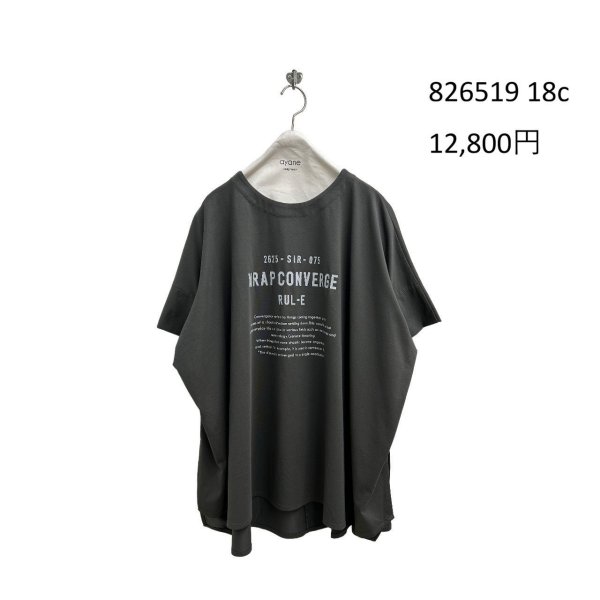 画像10: ●期間限定/ご予約10倍ポイント●【1/19 ayane】ポンチョ型ロゴTシャツ（予約/5） (10)