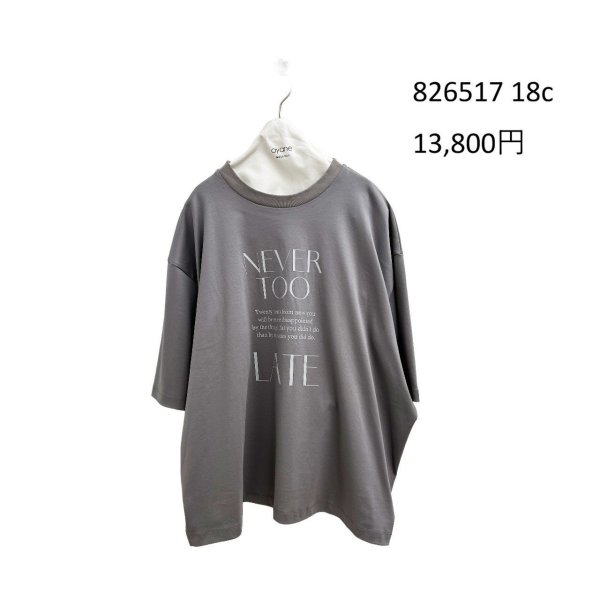 画像6: ●期間限定/ご予約10倍ポイント●【1/19 ayane】ドッキングバックギャザーTシャツ（予約/4-5） (6)