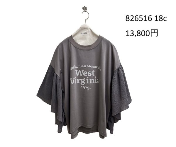 画像7: ●期間限定/ご予約10倍ポイント●【1/19 ayane】ひらひらスリーブロゴTシャツ（予約/5） (7)