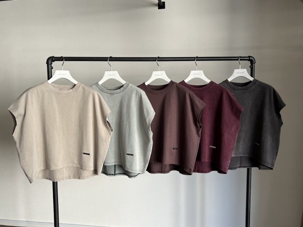 画像8: ●期間限定/ご予約10倍ポイント●【1/26 PRIORITY】ピグメントトップス（予約/5） (8)