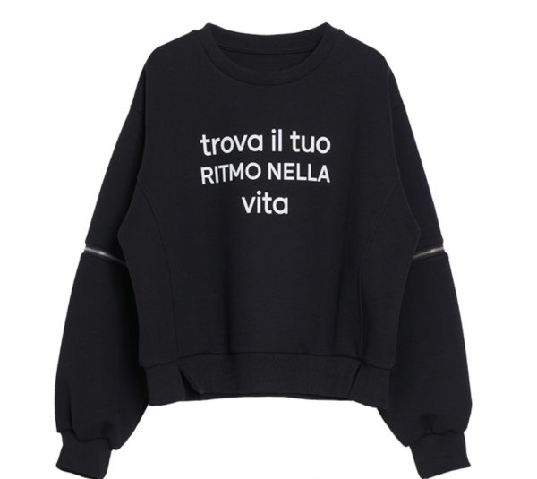 画像1: ●2/1までの期間限定販売●【1/30 LIVEアイテム】●お袖ジップアレンジロゴプルオーバー（メーカー確認後確保） (1)