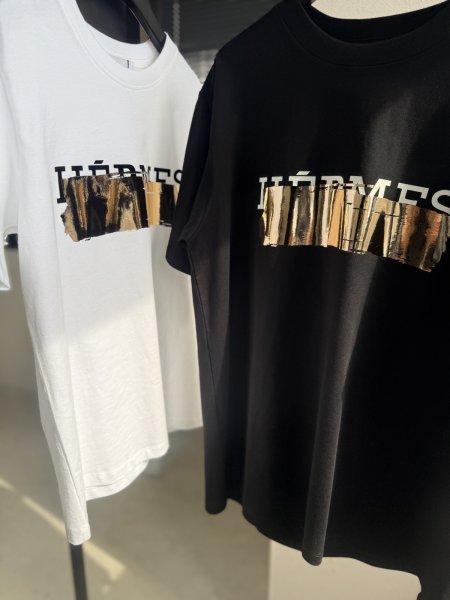 画像3: ●2/1までの期間限定販売●ご予約5倍ポイント【1/30 LIVEアイテム】●パロディＴミラーペイント「Ｈ」TYPE（予約/3） (3)