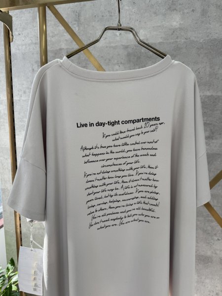 画像2: ●生産枠限り●ご予約5倍ポイント【2/2 LIVEアイテム】●オーバーシルエット前後ロゴＴ（メーカー確認後確保）（予約/4-5） (2)