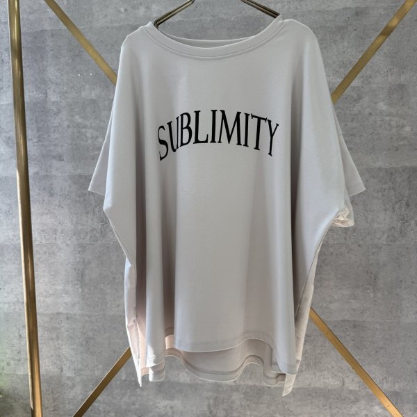 画像1: ●生産枠限り●ご予約5倍ポイント【2/2 LIVEアイテム】●オーバーシルエット前後ロゴＴ（メーカー確認後確保）（予約/4-5） (1)