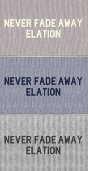 画像6: ●期間限定●生産枠限り●【4/3LIVEアイテム】ピグメントロゴトップス（予約/4-5月） (6)