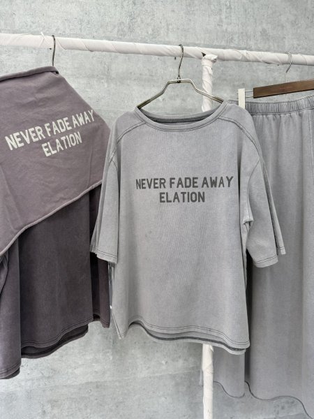 画像1: ●期間限定●生産枠限り●【4/3LIVEアイテム】ピグメントロゴトップス（予約/4-5月） (1)