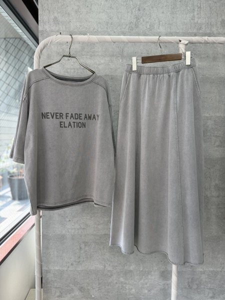 画像2: ●期間限定●生産枠限り●【4/3LIVEアイテム】ピグメントロゴトップス（予約/4-5月） (2)