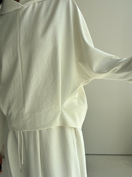 画像16: ●メーカー在庫限り●【4/15 LIVEアイテム】大人のセットアップシリーズ【フーディ】（メーカー確認後確保） (16)