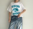 画像1: ●期間限定●ご予約5倍ポイント●【5/9LIVEアイテム】カレッジロゴCATーT（予約/7-8月） (1)