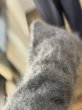 画像7: ●糸屋さんが推した！ふわっふわ素材◎期間限定●ご予約10倍ポイント●PRIORITY【6/19 LIVEアイテム】シャギーウールカーデ（予約/10月） (7)